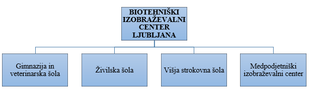 BIC_Organizacijska struktura